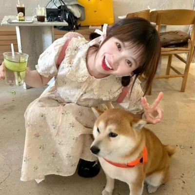 姐妹四城