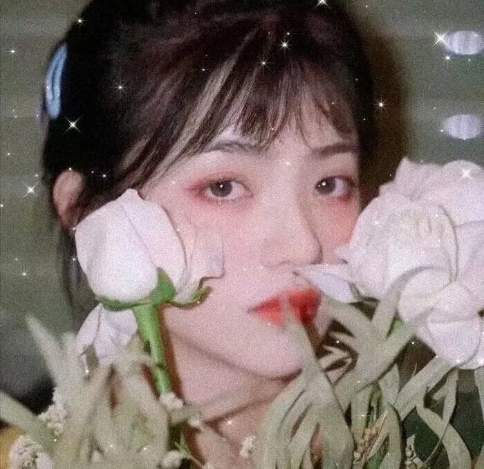 傲娇公主的奇幻冒险